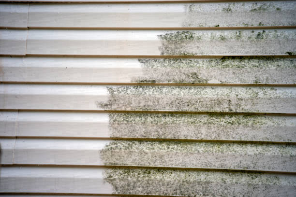 Best Siding Removal and Disposal  in Mcelhattan, PA