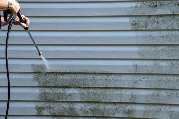 Affordable Siding Repair and Maintenance Services in Mcelhattan, PA